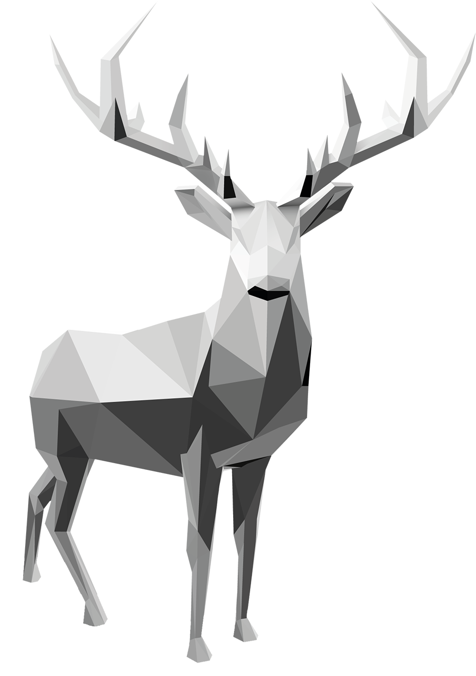 Hirsch